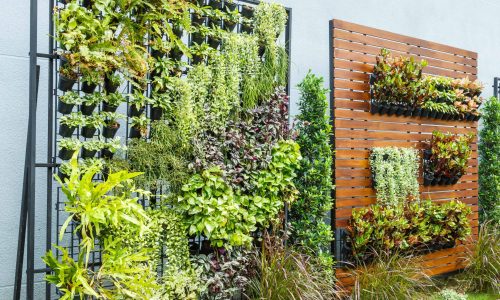 Beautiful vertical garden in city around office building