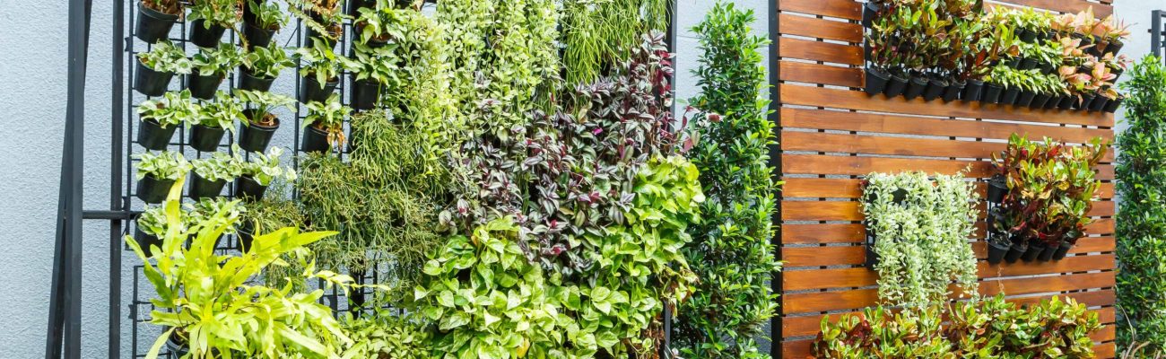 Beautiful vertical garden in city around office building